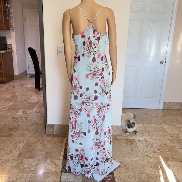 Cynthia Steffe maxi dress - Picture 2 of 10
